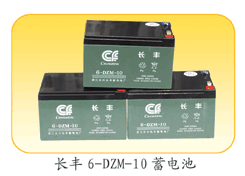 长丰6-DZM-10蓄电池配件更换指南与性价比分析